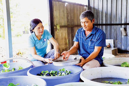 ធ្វើ​មាន​ពី​ទម្រង់​ចិញ្ចឹម​សត្វ​កន្ធាយ​