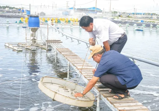 Bảo vệ tốt diện tích nuôi thủy sản trong các đợt mưa bão