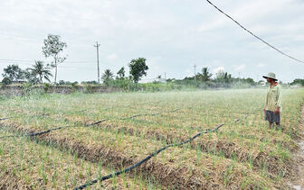 ប្រ​ព័ន្ធ​ស្រោច​ស្រព​ស្វ័យ​ប្រ​វត្តិ​ជួយ​បង្កើន​ទិន្ន​ផល​ដំ​ណាំ​