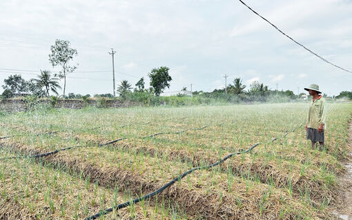 ប្រ​ព័ន្ធ​ស្រោច​ស្រព​ស្វ័យ​ប្រ​វត្តិ​ជួយ​បង្កើន​ទិន្ន​ផល​ដំ​ណាំ​