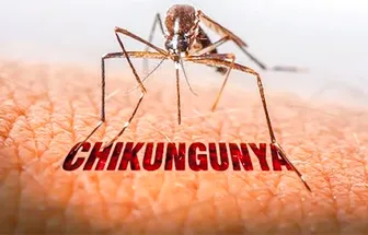 Biến đổi khí hậu làm gia tăng các bệnh truyền nhiễm trên toàn thế giới