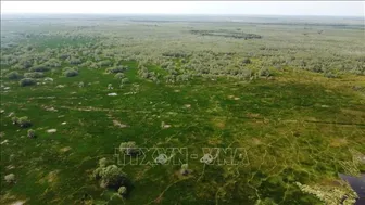 Bảo tồn kết hợp phát triển du lịch sinh thái vườn Quốc gia Tràm Chim