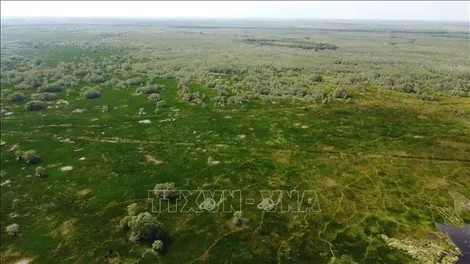 Bảo tồn kết hợp phát triển du lịch sinh thái vườn Quốc gia Tràm Chim