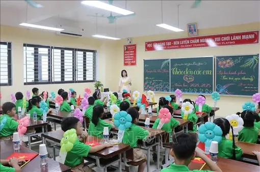 Đánh giá toàn diện phương án sắp xếp cơ sở giáo dục mầm non, phổ thông