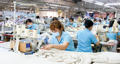 [INFOGRAPHICS] Quy định mức lương tối thiểu đối với người lao động làm việc theo hợp đồng lao động