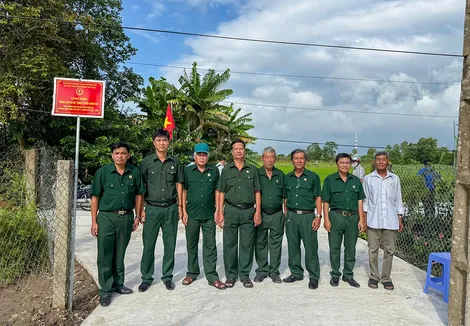 Hoàn thành 250 mô hình, công trình, phần việc