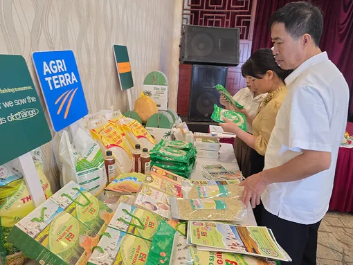 Chương trình “Chuyển đổi lấy nông dân làm trọng tâm” mang lại hiệu quả thiết thực