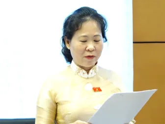 Đại biểu Tô Ái Vang và đại biểu Đào Chí Nghĩa đóng góp ý kiến đối với dự án Luật Dự trữ quốc gia (sửa đổi) Đại biểu Tô Ái Vang và đại biểu Đào Chí Nghĩa đóng góp ý kiến đối với dự án Luật Dự trữ quốc gia (sửa đổi)