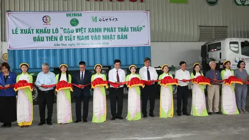 Hơn 70.000 tấn “Gạo Việt xanh, phát thải thấp” được cấp nhãn hiệu: Bước tiến mới của gạo Việt
