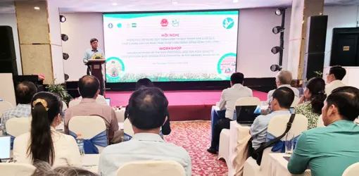Triển khai Quy trình MRV và Quy trình sản xuất lúa chất lượng cao, phát thải thấp vùng ĐBSCL