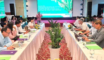 Ra mắt công cụ số đánh giá tuân thủ quy trình sản xuất lúa chất lượng cao và phát thải thấp vùng ĐBSCL