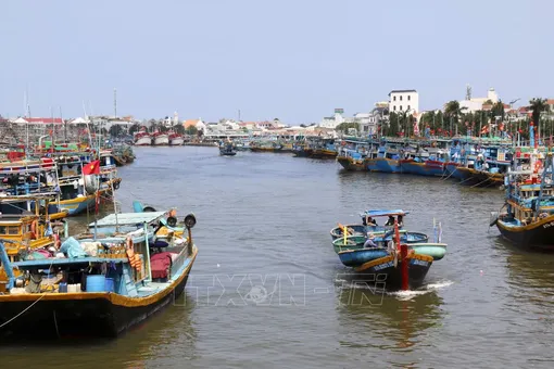 Phê duyệt Kế hoạch thực hiện Hiệp định Trợ cấp Nghề cá 2022 của WTO