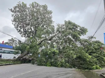 Kịp thời hỗ trợ các hộ dân bị ảnh hưởng mưa giông tại xã Phong Nẫm