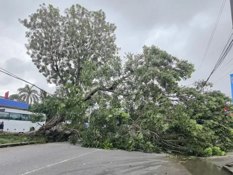 Kịp thời hỗ trợ các hộ dân bị ảnh hưởng mưa giông tại xã Phong Nẫm