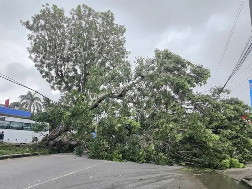 Kịp thời hỗ trợ các hộ dân bị ảnh hưởng mưa giông tại xã Phong Nẫm