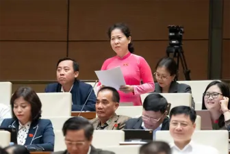 Đại biểu Quốc hội Tô Ái Vang góp ý dự án Luật Giáo dục nghề nghiệp (sửa đổi)