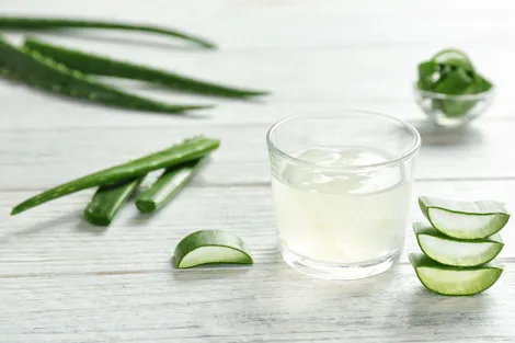 Nước lô hội có lợi gì cho sức khỏe? Hướng dẫn chế biến và những lưu ý khi dùng lô hội