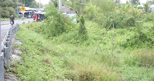 Dây điện thấp tiềm ẩn nguy hiểm