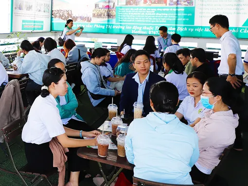 Tư vấn việc làm, chính sách việc làm và học nghề cho hơn 242.000 lượt lao động