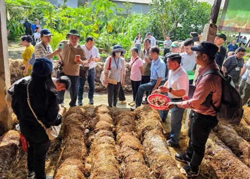 Hơn 150 nông dân và đại biểu đến từ các quốc gia ASEAN tham quan mô hình kinh tế tuần hoàn từ rơm tại HTX Tiến Thuận