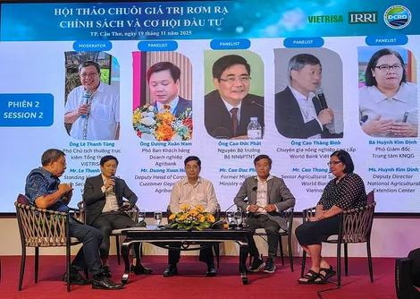 Đề xuất các giải pháp, chính sách nhằm quản lý, khai thác hiệu quả rơm rạ