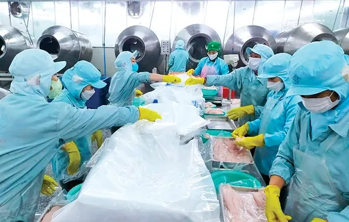 Cần Thơ có 97 cơ sở sử dụng năng lượng trọng điểm