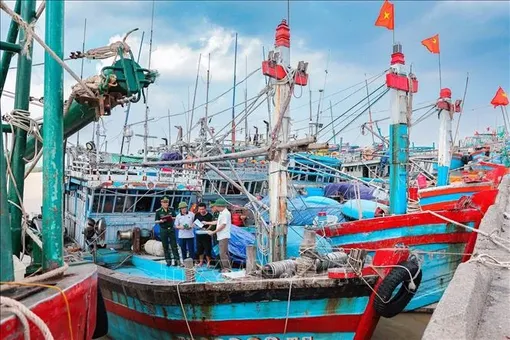 Bài 1: Chính phủ Việt Nam tổng lực hành động, chấm dứt khai thác IUU