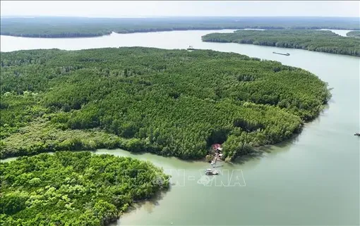 Kỳ vọng nguồn vốn xanh tạo cú hích cho chuyển đổi xanh