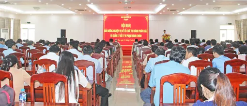 Bồi dưỡng nghiệp vụ về tổ chức thi hành pháp luật và xử lý vi phạm hành chính