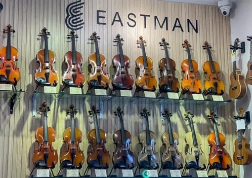 Vì sao nên chọn đàn violin Eastman - Thương hiệu được giáo viên, nghệ sĩ tin dùng