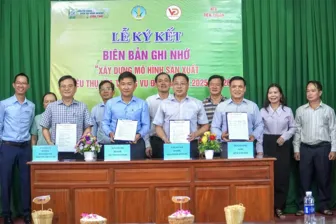 Viện Lúa ĐBSCL ký kết biên bản ghi nhớ xây dựng mô hình sản xuất và tiêu thụ giống lúa OM 19 vụ đông xuân 2025-2026