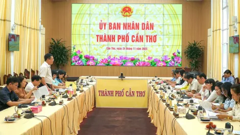 Khảo sát xây dựng định mức kinh tế - kỹ thuật trong lĩnh vực giáo dục và đào tạo tại TP Cần Thơ