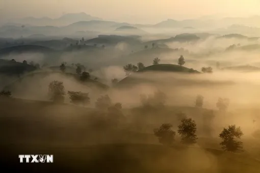 Mê đắm cảnh sắc Long Cốc - một trong những đồi chè hình bát úp đẹp nhất Việt Nam