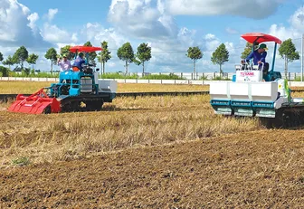 Nâng cao sức khỏe đất trồng lúa để sản xuất bền vững