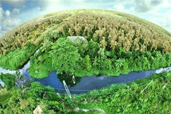 Thị trường carbon: Cơ hội lớn để Việt Nam “mở rộng cánh cửa” phát triển xanh