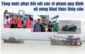 [Infographic] Tăng mức phạt đối với các vi phạm quy định về vùng khai thác thủy sản