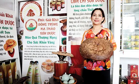 Triển vọng sản xuất nấm theo hướng tuần hoàn, khép kín