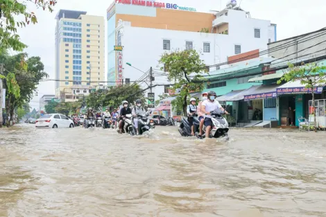 Cần Thơ chủ động triển khai các giải pháp ứng phó với áp thấp nhiệt đới gần biển Đông
