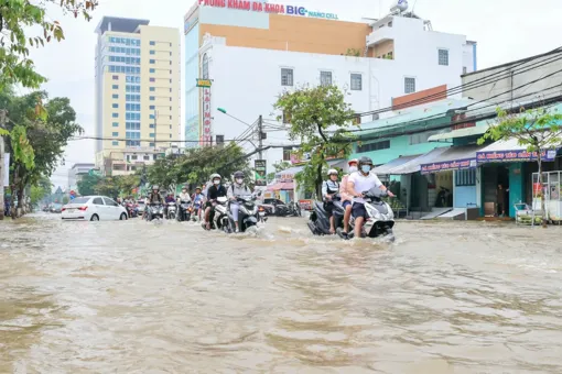 Cần Thơ chủ động triển khai các giải pháp ứng phó với áp thấp nhiệt đới gần biển Đông
