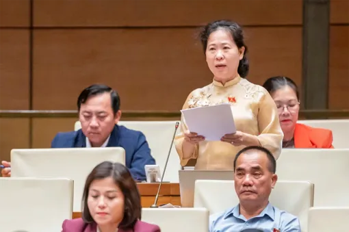 Đại biểu Tô Ái Vang góp ý dự thảo Nghị quyết của Quốc hội về một số cơ chế, chính sách đặc thù nhằm nâng cao hiệu quả công tác hội nhập quốc tế