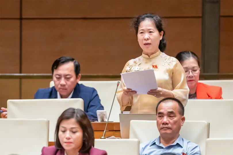 Đại biểu Tô Ái Vang góp ý dự thảo Nghị quyết của Quốc hội về một số cơ chế, chính sách đặc thù nhằm nâng cao hiệu quả công tác hội nhập quốc tế