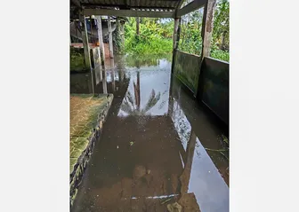 Lò giết mổ gây ô nhiễm môi trường