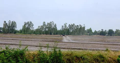 Đẩy mạnh chuyển đổi số, hướng đến nông thôn mới thông minh