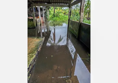 Lò giết mổ gây ô nhiễm môi trường