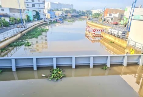 Bão số 15 mạnh lên, sức gió giật cấp 15