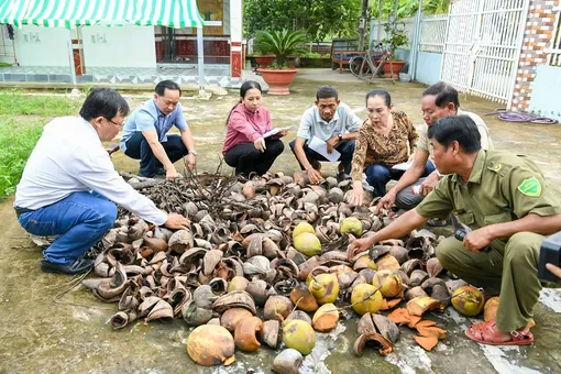 Xã Long Phú đẩy mạnh chiến dịch diệt lăng quăng, phòng, chống 
sốt xuất huyết
