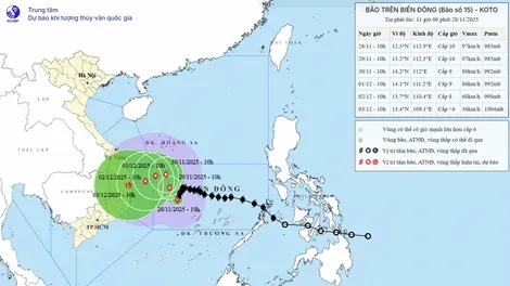Bão số 15 giảm cấp và suy yếu dần
