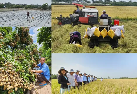 [LONGFORM] Những quyết sách lịch sử để ĐBSCL phát triển bền vững