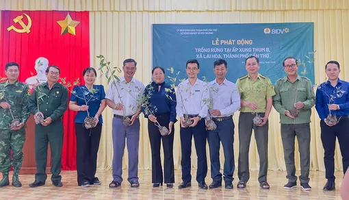 Tổ chức Lễ phát động trồng rừng phòng hộ