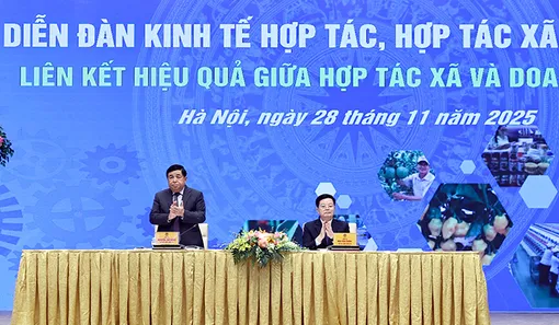 Khơi thông hiệu quả liên kết giữa hợp tác xã và doanh nghiệp